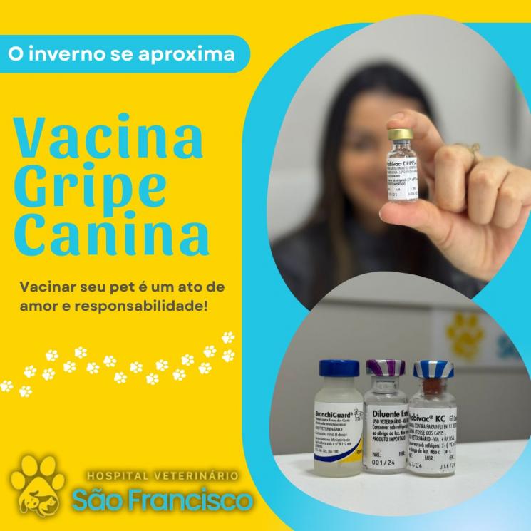Custo da Vacina: Um Investimento na Saúde do Seu Pet - inspiração 2
