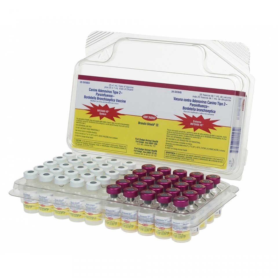 A Vacina Impede 100% a Gripe? O Que Esperar - inspiração 1