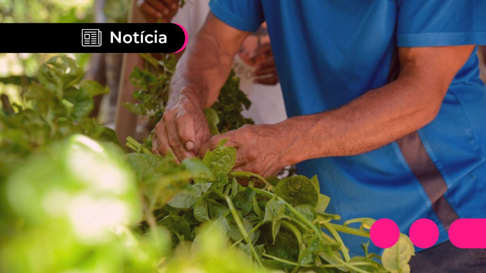 Elaborando um Projeto de Venda Irresistível - inspiração 2