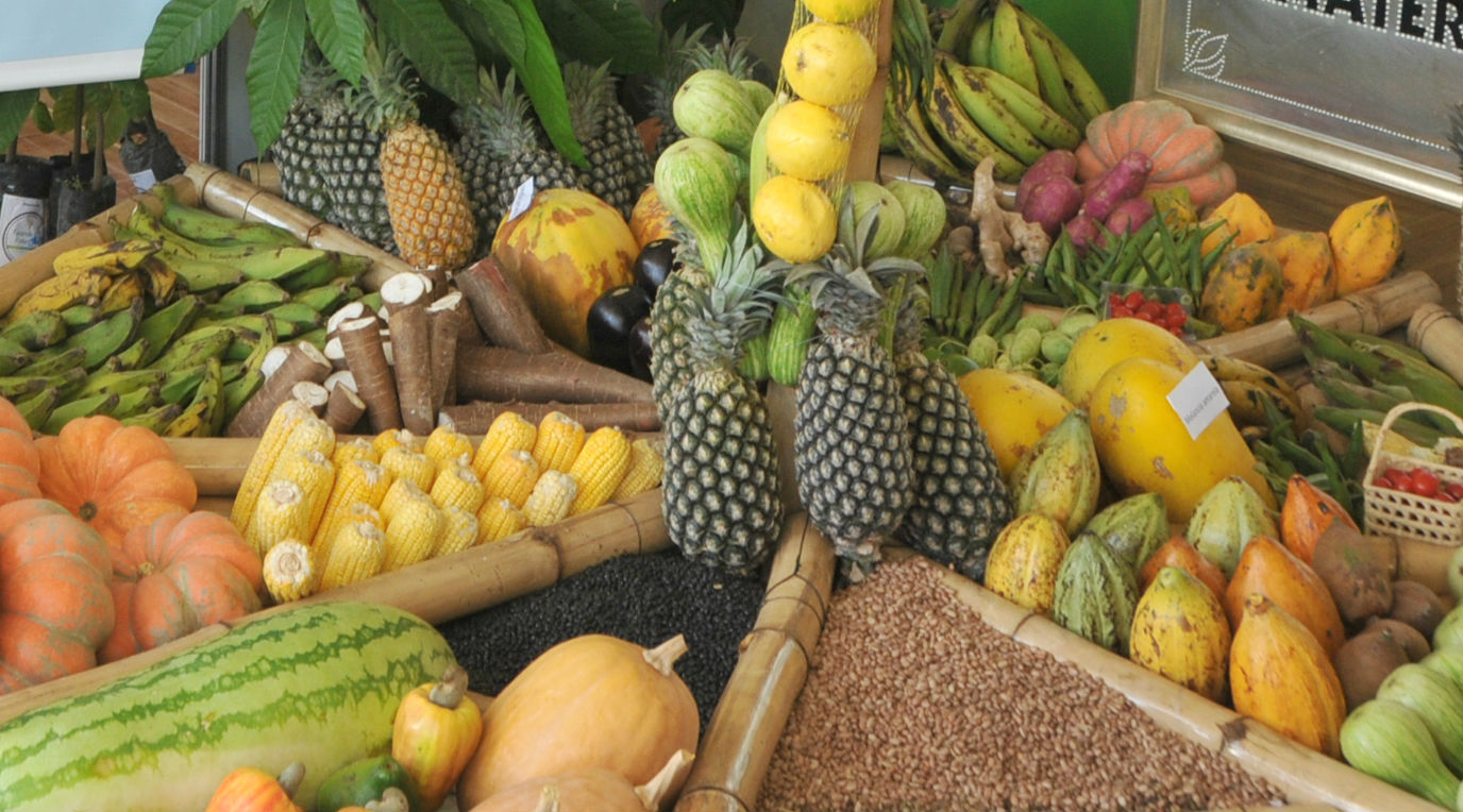 Negociação e Apresentação: Conquistando os Gestores - inspiração 2