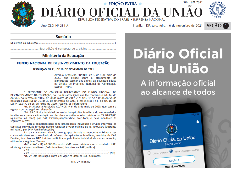 O Que Fazer Após a Entrega: Fidelização e Próximos Passos - inspiração 1