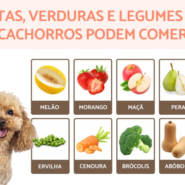 Cenoura: Um Snack Crocante e Cheio de Vitaminas - inspiração 1