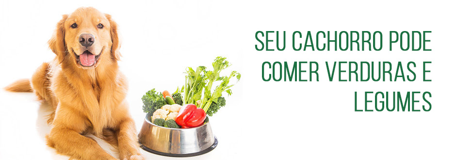 Pepino: Hidratação e Refrescância em Dias Quentes - inspiração 2