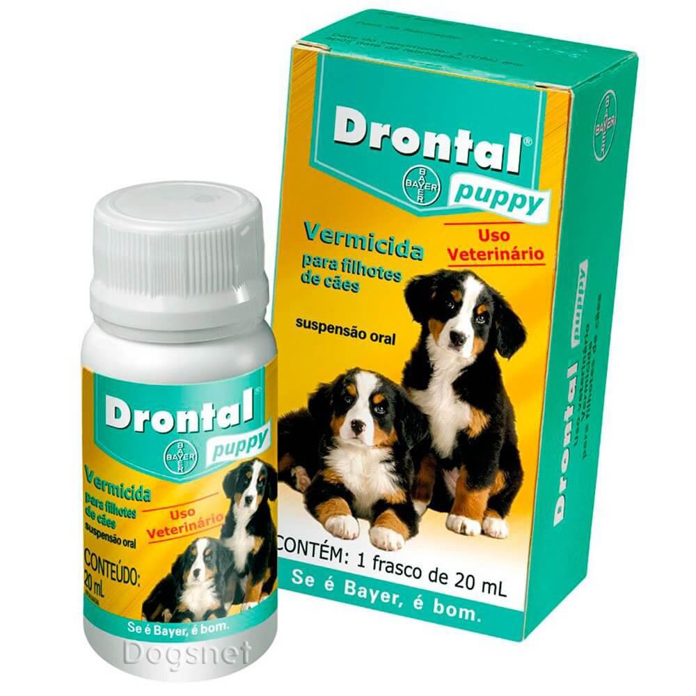 Por Que Filhotes Precisam de Vermífugo? - inspiração 2