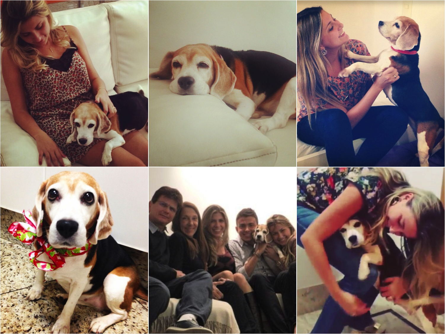 Cuidados com a Alimentação e Conforto Durante o Voo - inspiração 1