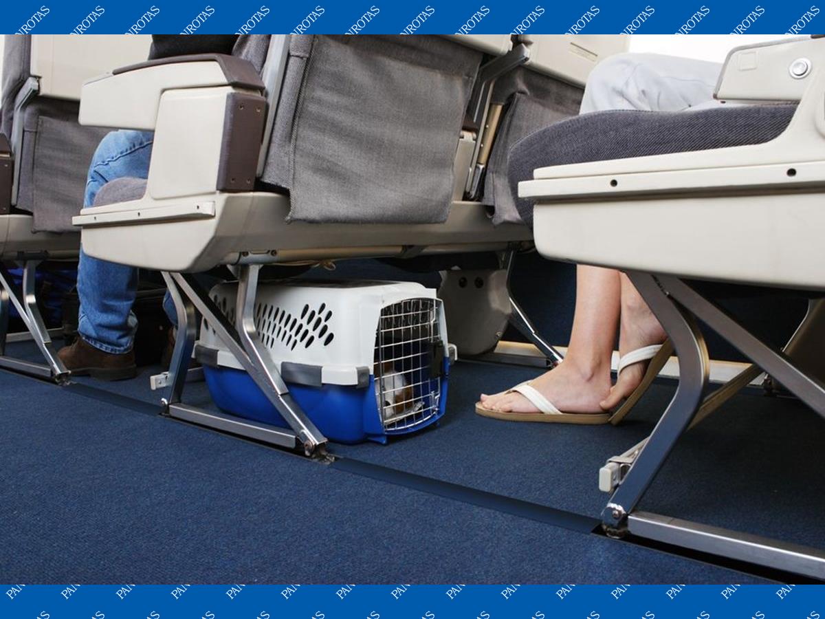 Regulamentações Locais: Conheça as Regras do País de Destino - inspiração 1