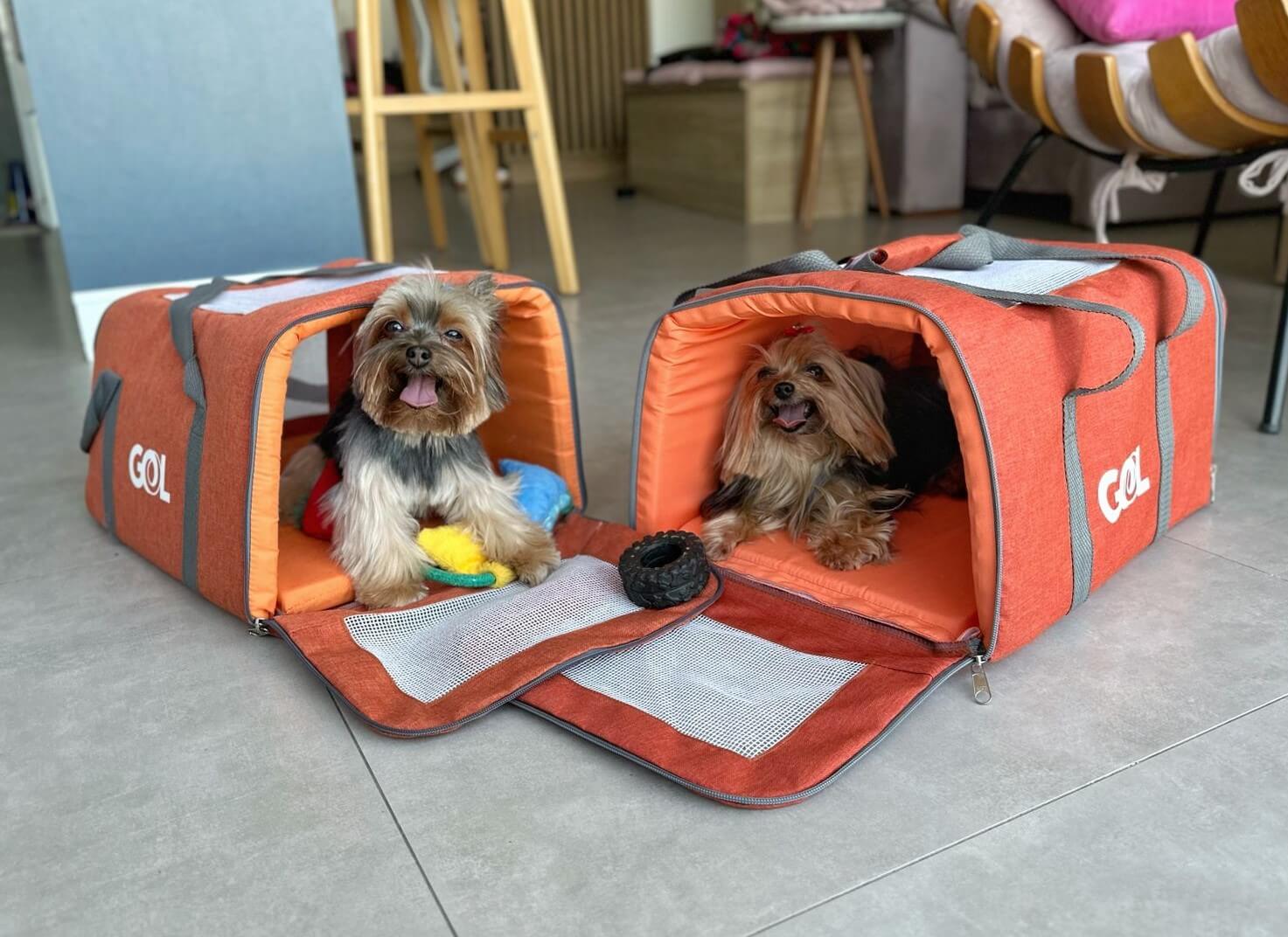 Verificando os Requisitos Sanitários e de Vacinação com Antecedência - inspiração 2