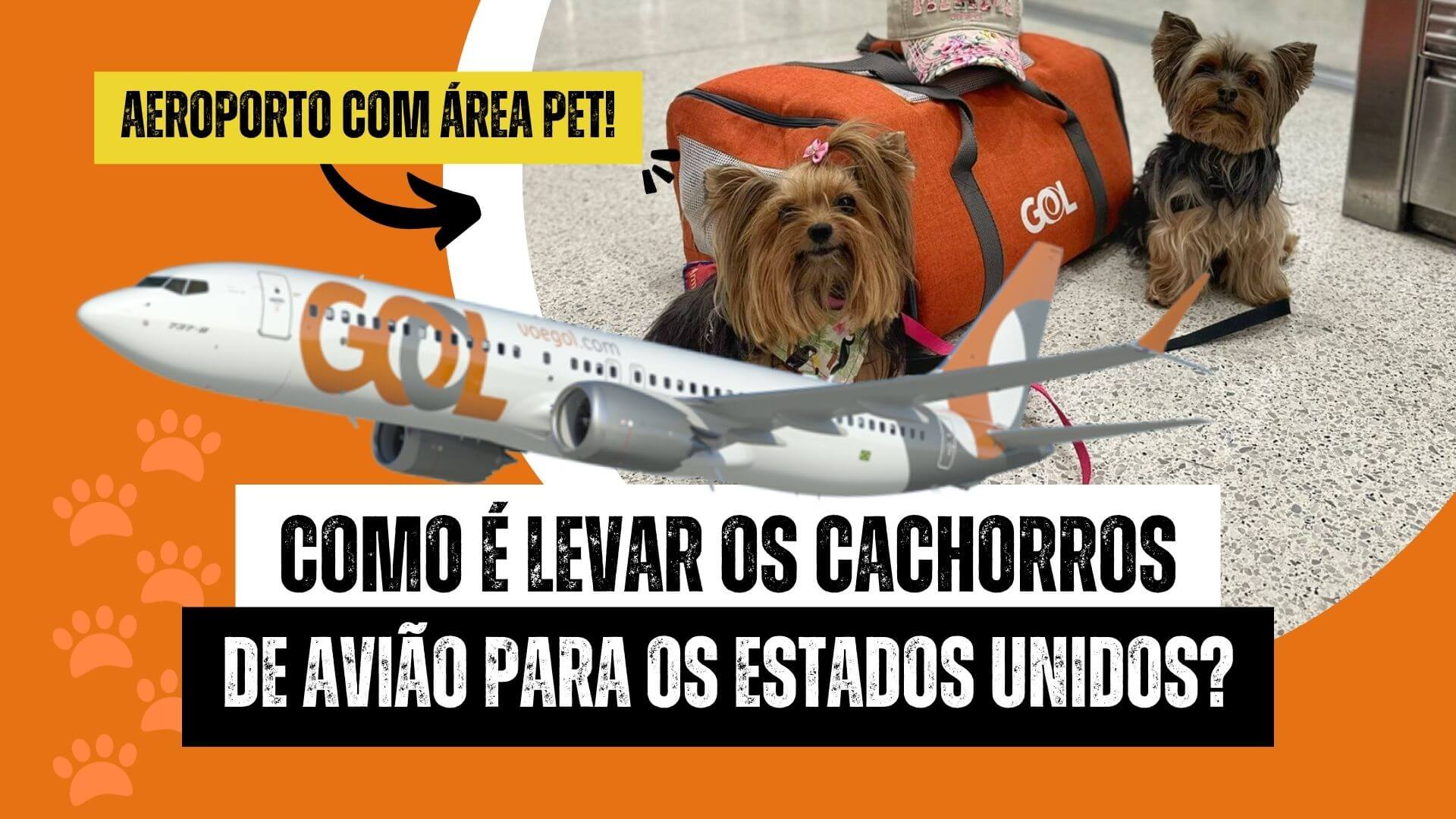 Certificado Veterinário Internacional (CVI): O Passaporte da Saúde do seu Cão - inspiração 2