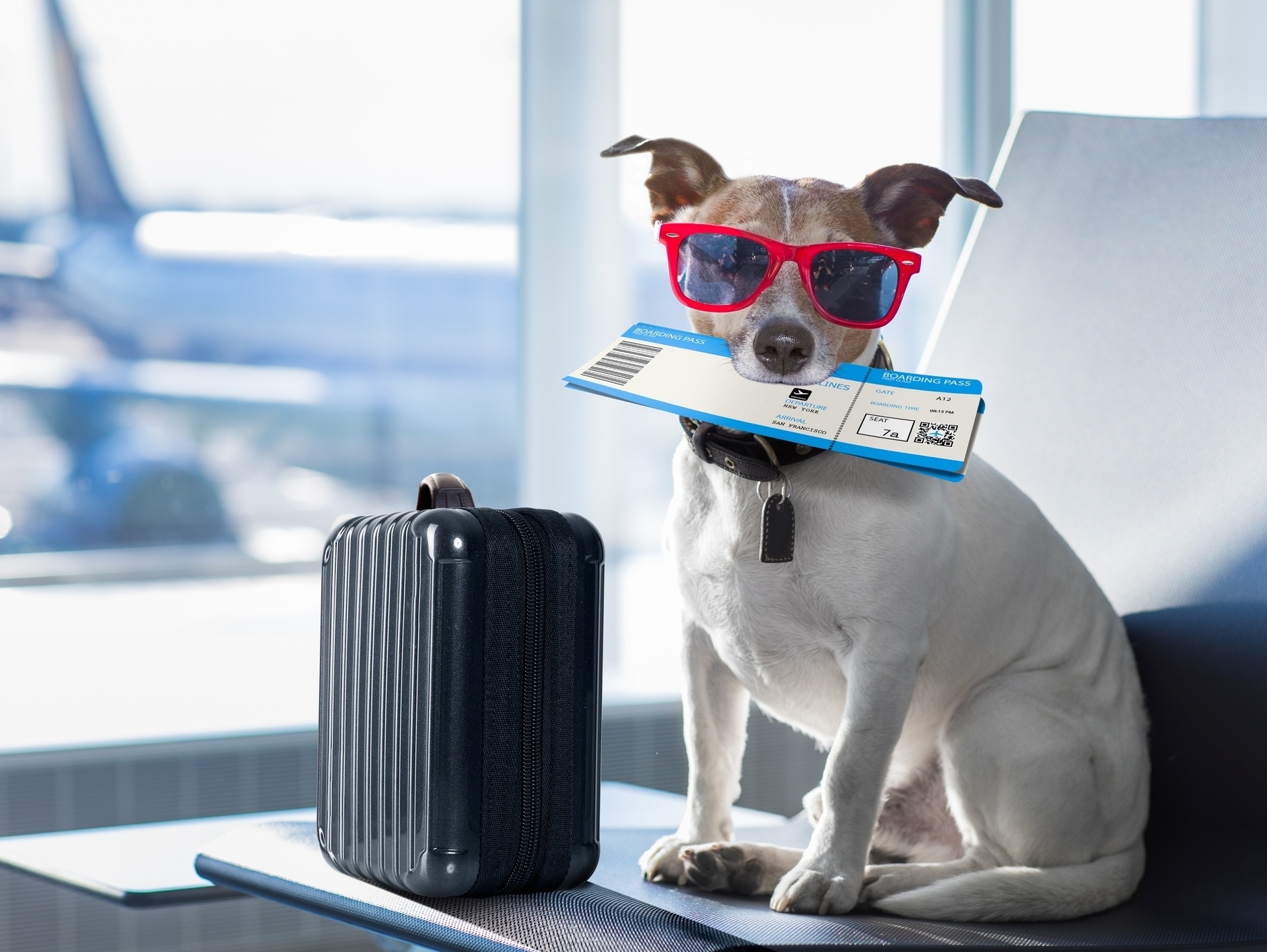 Autorização de Viagem: Documentação para Companhias Aéreas e Fronteira - inspiração 1