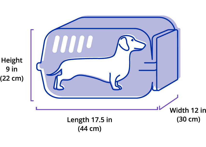 Pesquisando Companhias Aéreas: Políticas Específicas para Animais de Estimação - inspiração 1