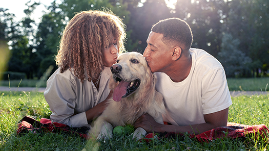 Check-up Veterinário Completo Antes da Partida: Saúde em Primeiro Lugar - inspiração 2