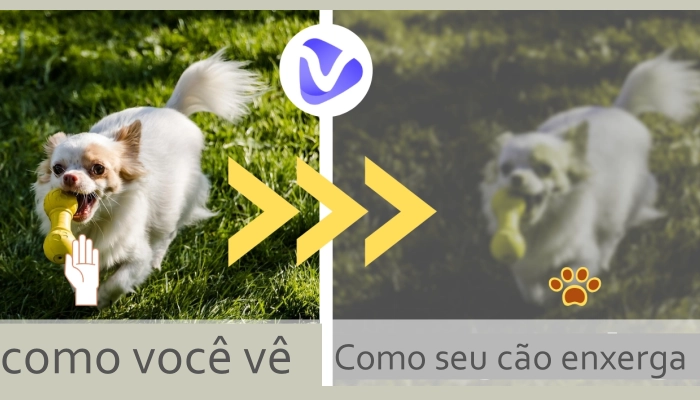 Raças e Variações na Visão: O Que Muda? - inspiração 2
