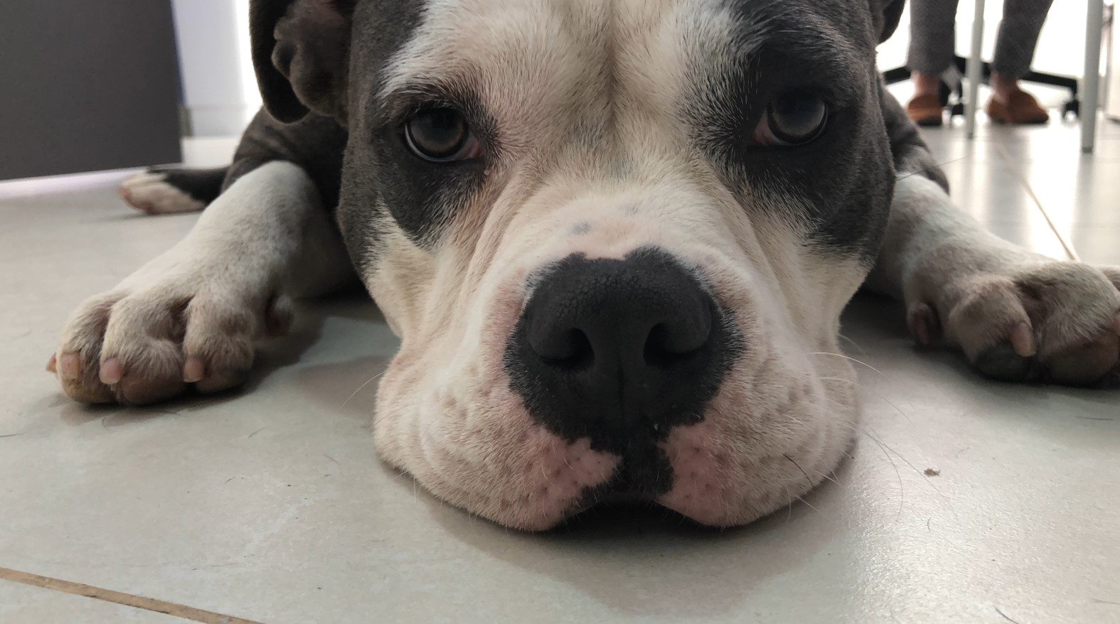 Reações a Medicamentos ou Vacinas - inspiração 2