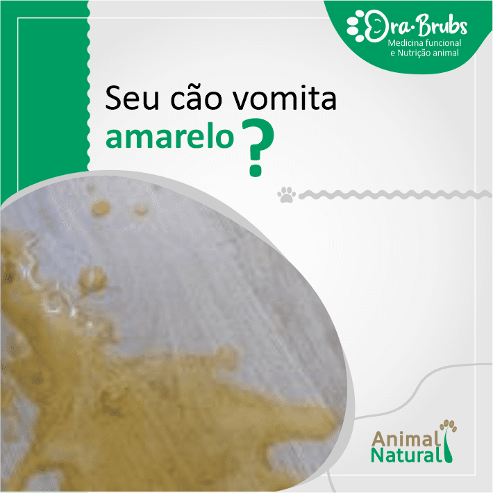 Obstrução Intestinal: Um Susto que Exige Atenção - inspiração 2