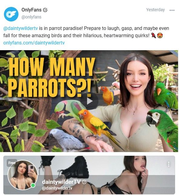 onlyfans vs patreon qual melhor para criadores