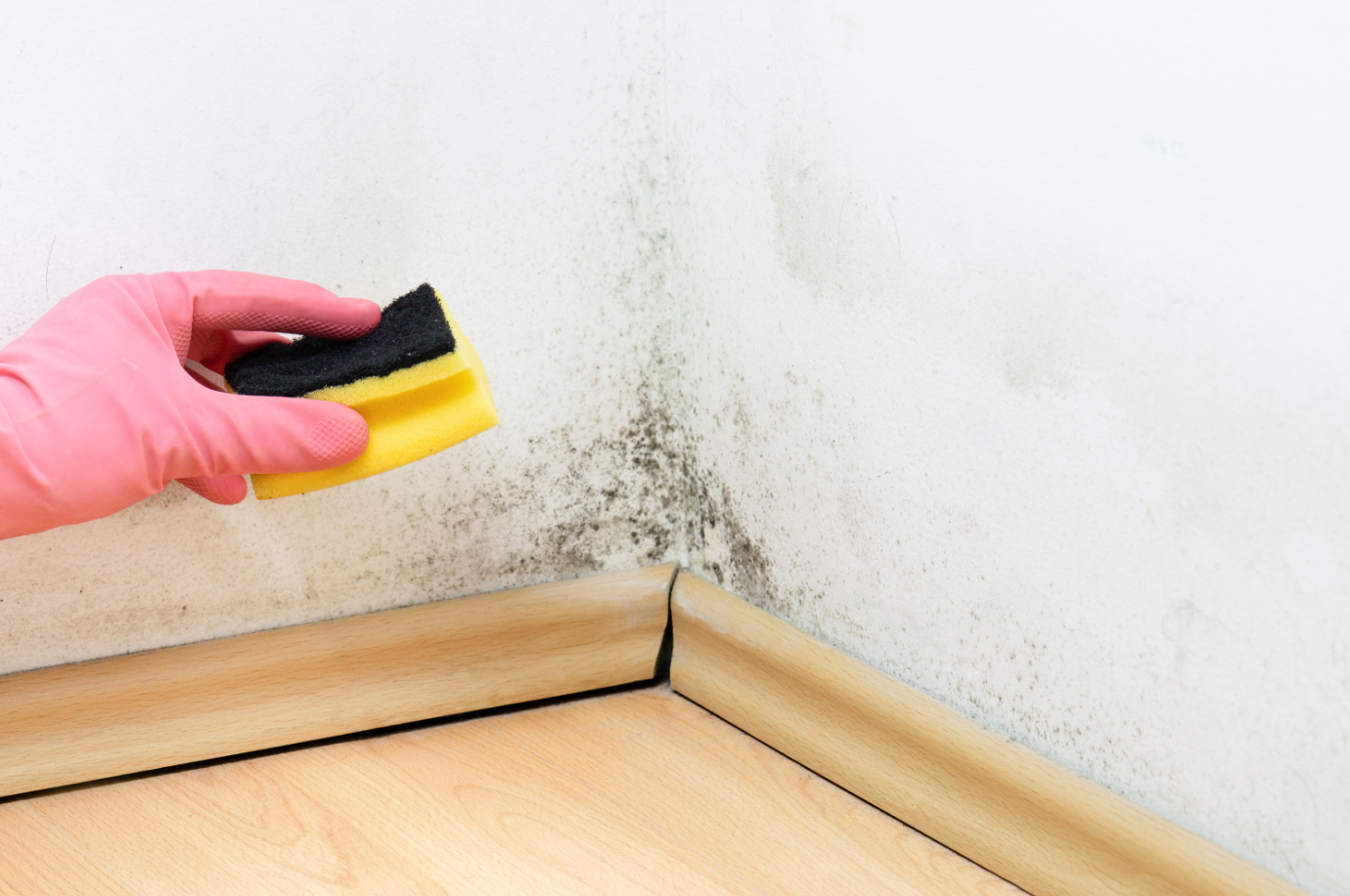 o que não fazer ao limpar mofo da parede