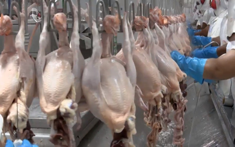 normas sanitárias para frigoríficos de frango