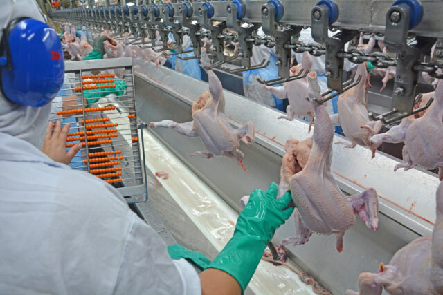 normas sanitárias para frigoríficos de frango