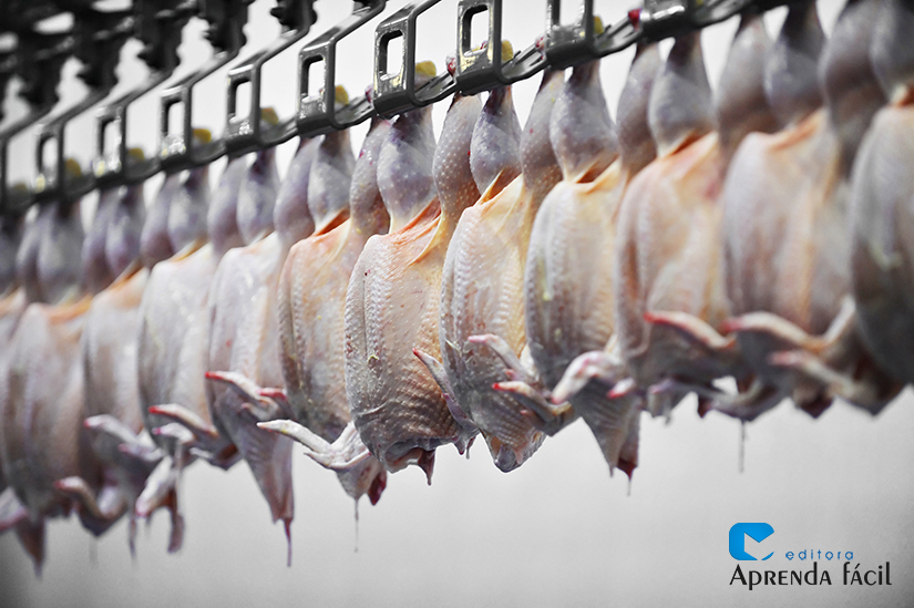 normas sanitárias para frigoríficos de frango