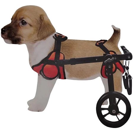 Como escolher a rampa ideal para o seu cão