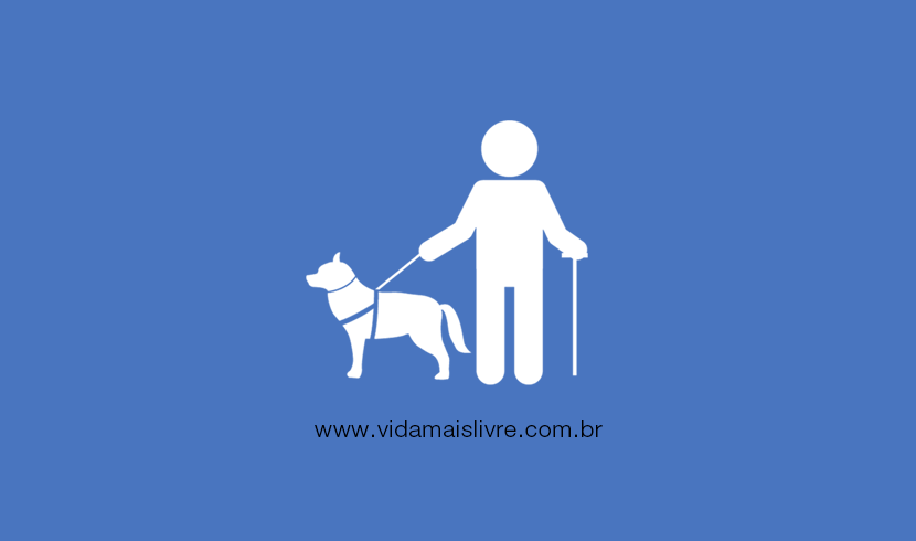 Guia completo de fisioterapia para cães