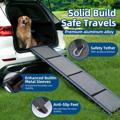 Guia completo de fisioterapia para cães