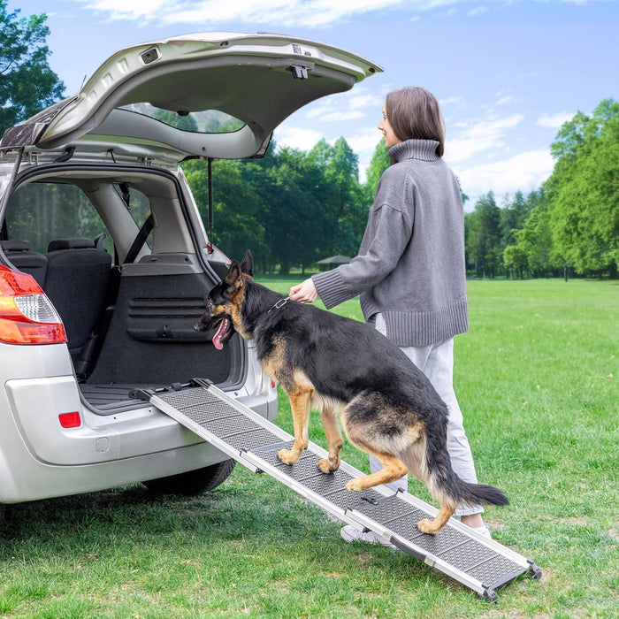 Adaptando sua casa para um cão idoso