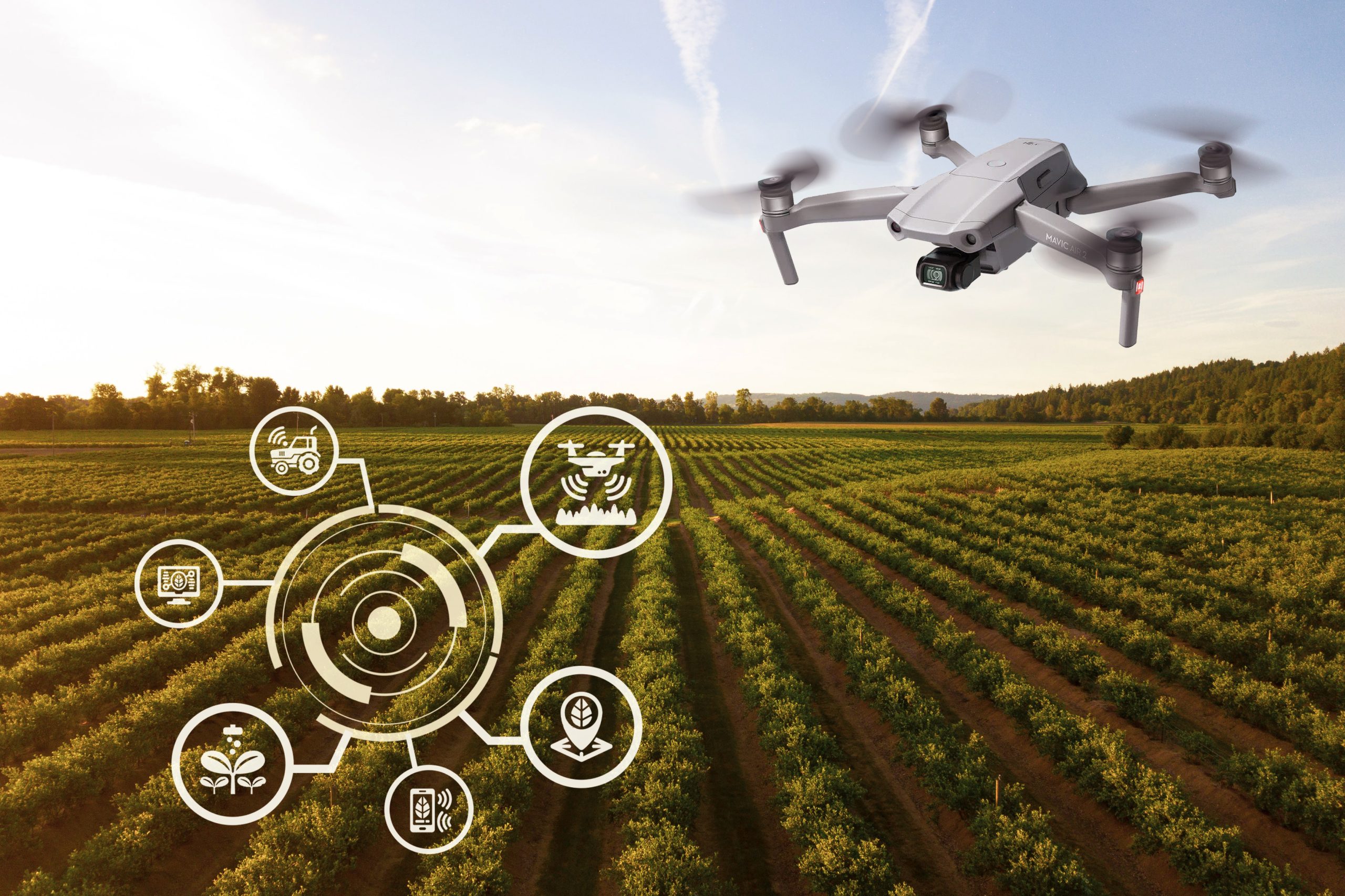 Drones: a nova visão aérea da sua lavoura