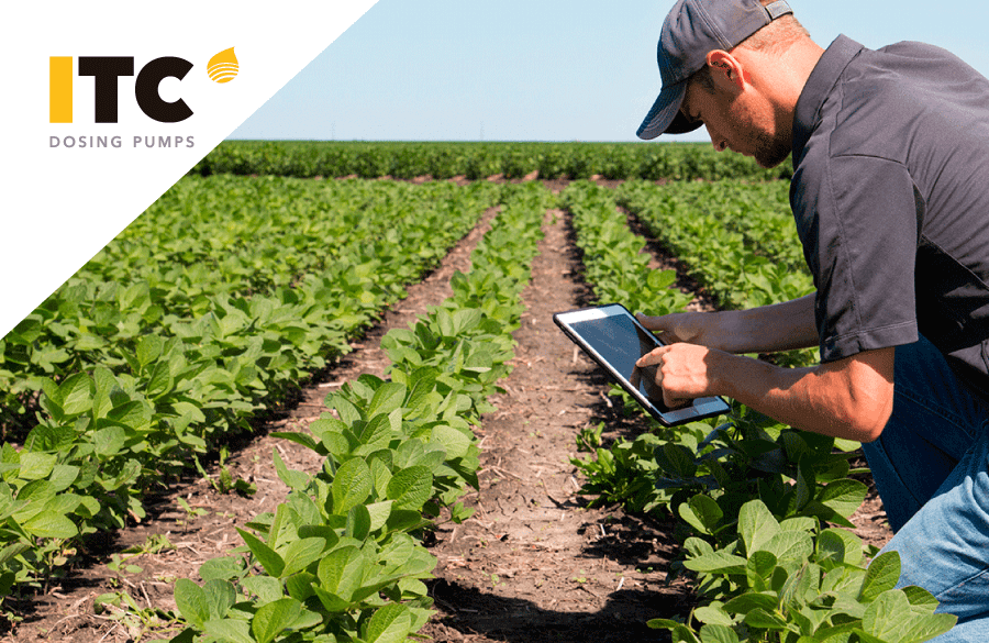 Blockchain: garantindo a segurança e rastreabilidade dos alimentos