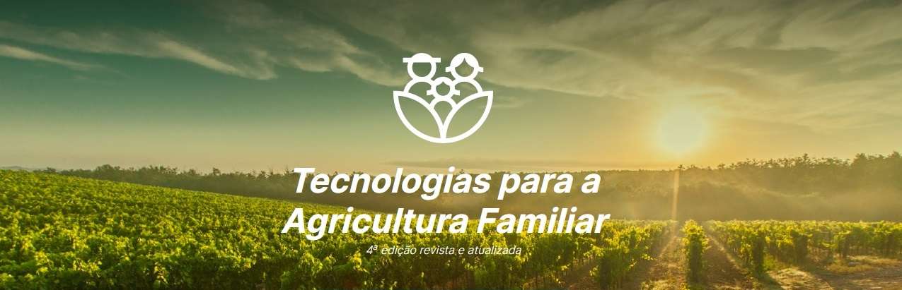 Estratégias de sucesso: Venda direta de alimentos com apps de comércio local