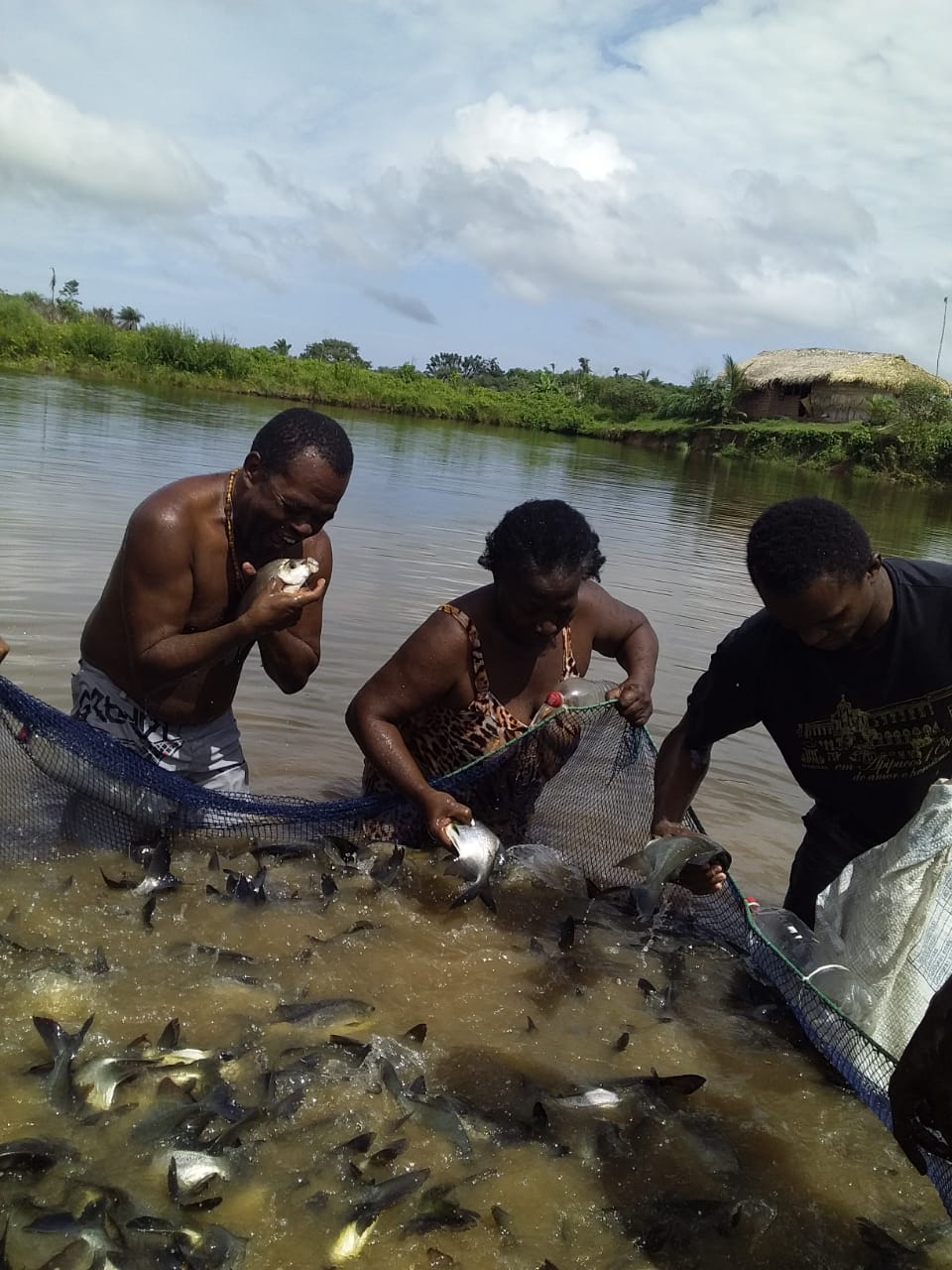agricultura familiar e quilombolas