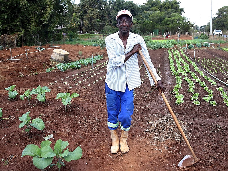 políticas públicas para quilombolas