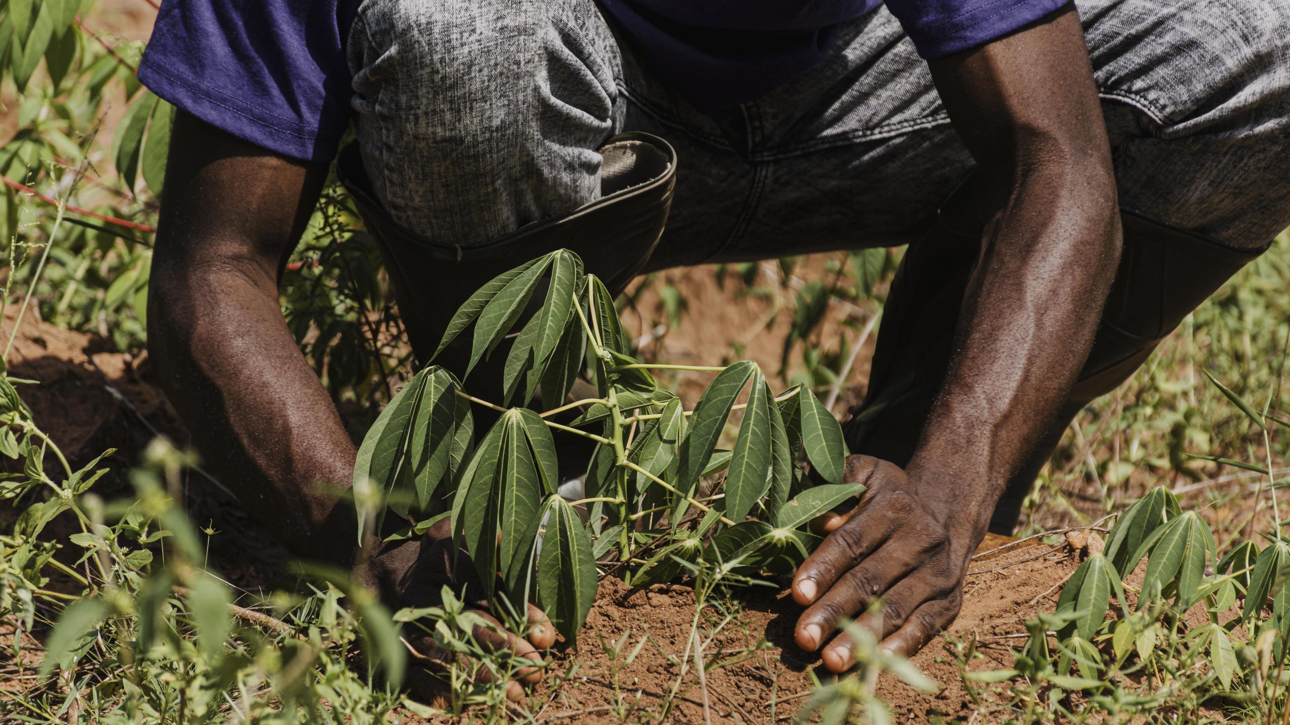 acesso a crédito para agricultores quilombolas