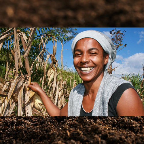 agricultura familiar e quilombolas