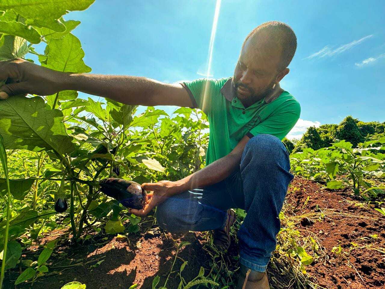 agricultura familiar em comunidades tradicionais