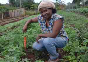 desafios da agricultura quilombola