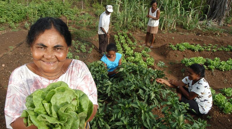 políticas públicas para quilombolas