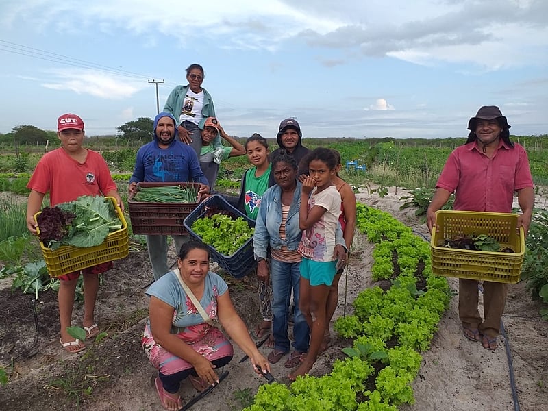 agricultura familiar em áreas de reforma agrária