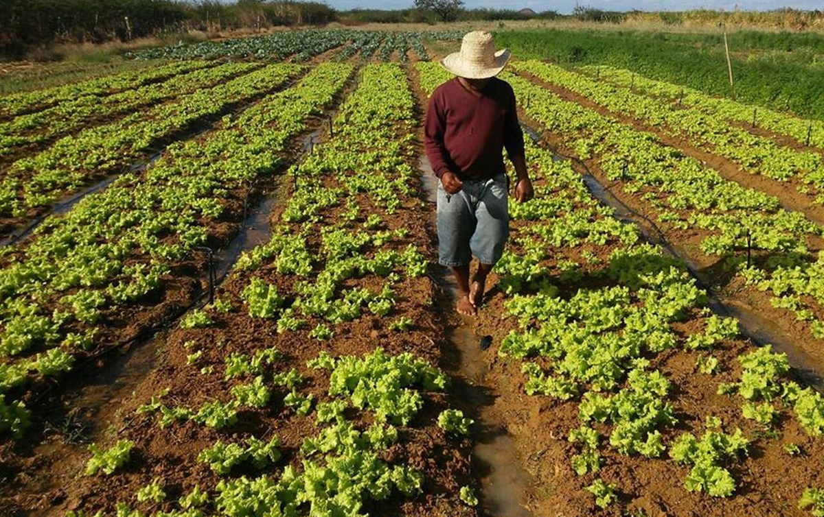 segurança alimentar reforma agrária brasil