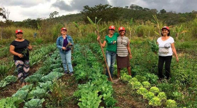 segurança alimentar reforma agrária brasil