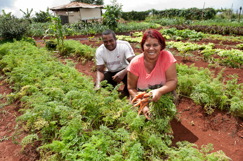 impacto social assentamentos incra