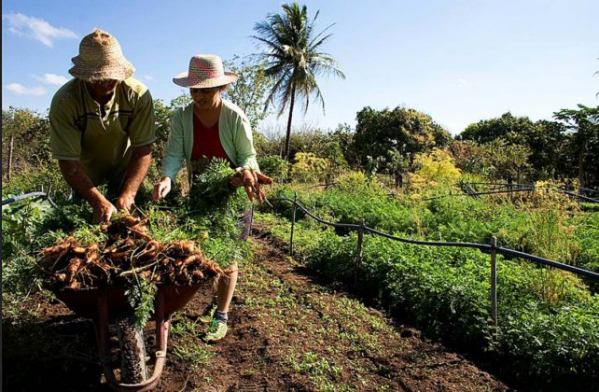 impacto social assentamentos incra