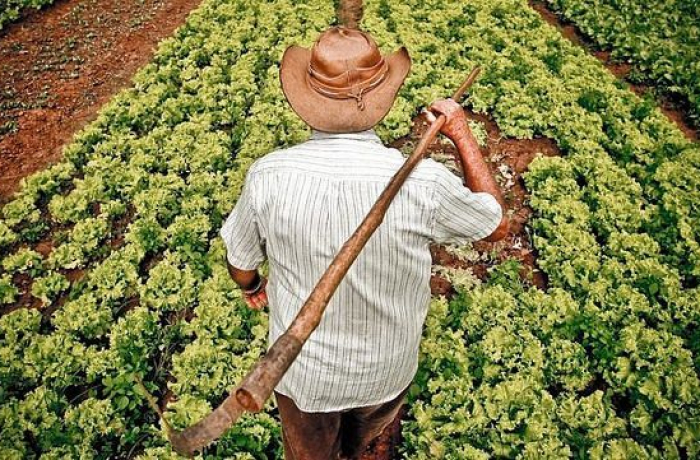 práticas agroecológicas agricultura familiar assentada