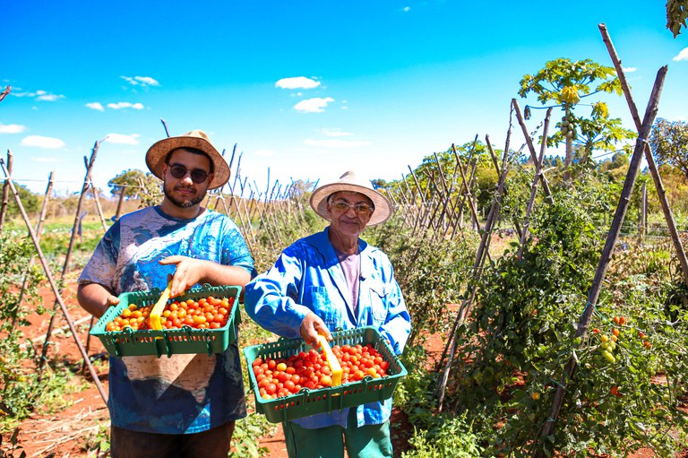 agricultura familiar em áreas de reforma agrária
