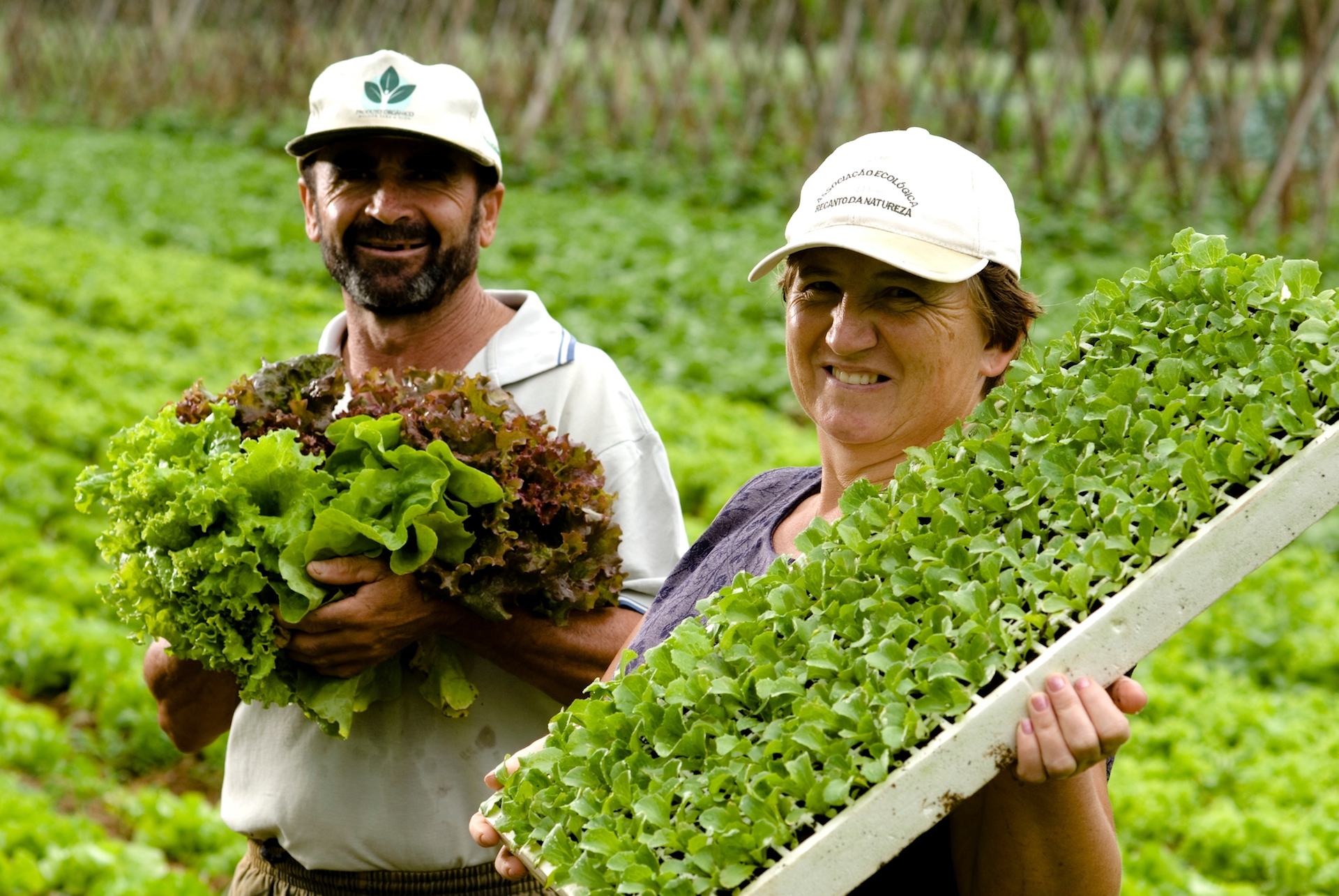 segurança alimentar reforma agrária brasil