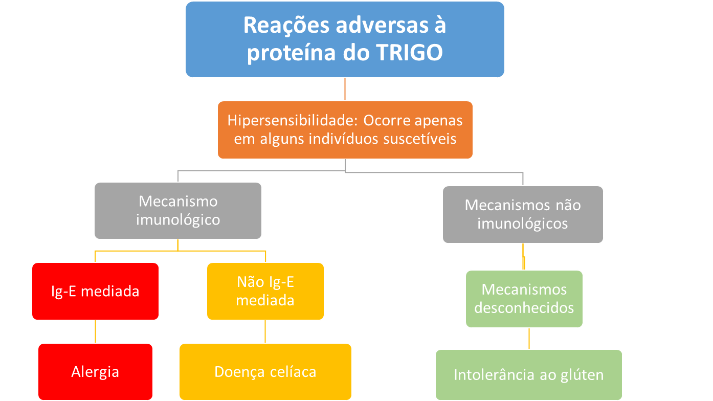 Dieta Sem Glúten: Como Evitar a Contaminação Cruzada e Viver Melhor