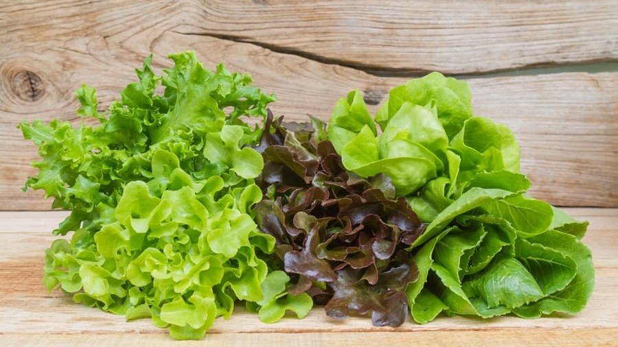 o que evitar ao consumir alface americana