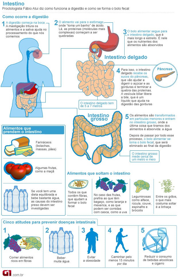Alimentos que aceleram a digestão: Guia completo