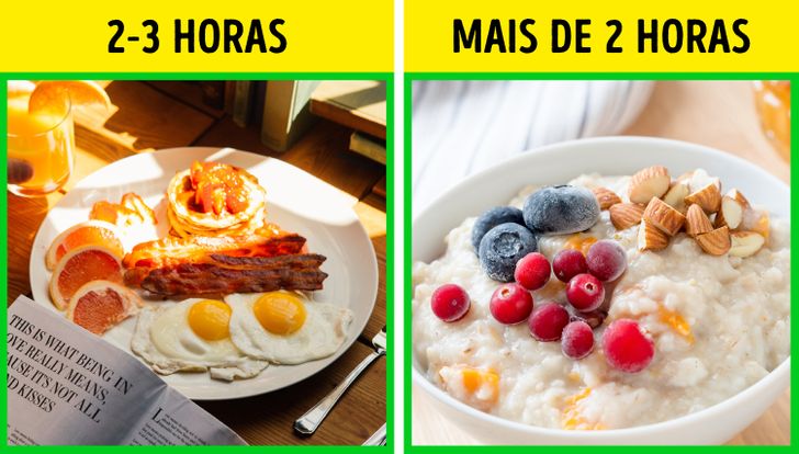 Mitos e verdades sobre a digestão de proteínas e gorduras
