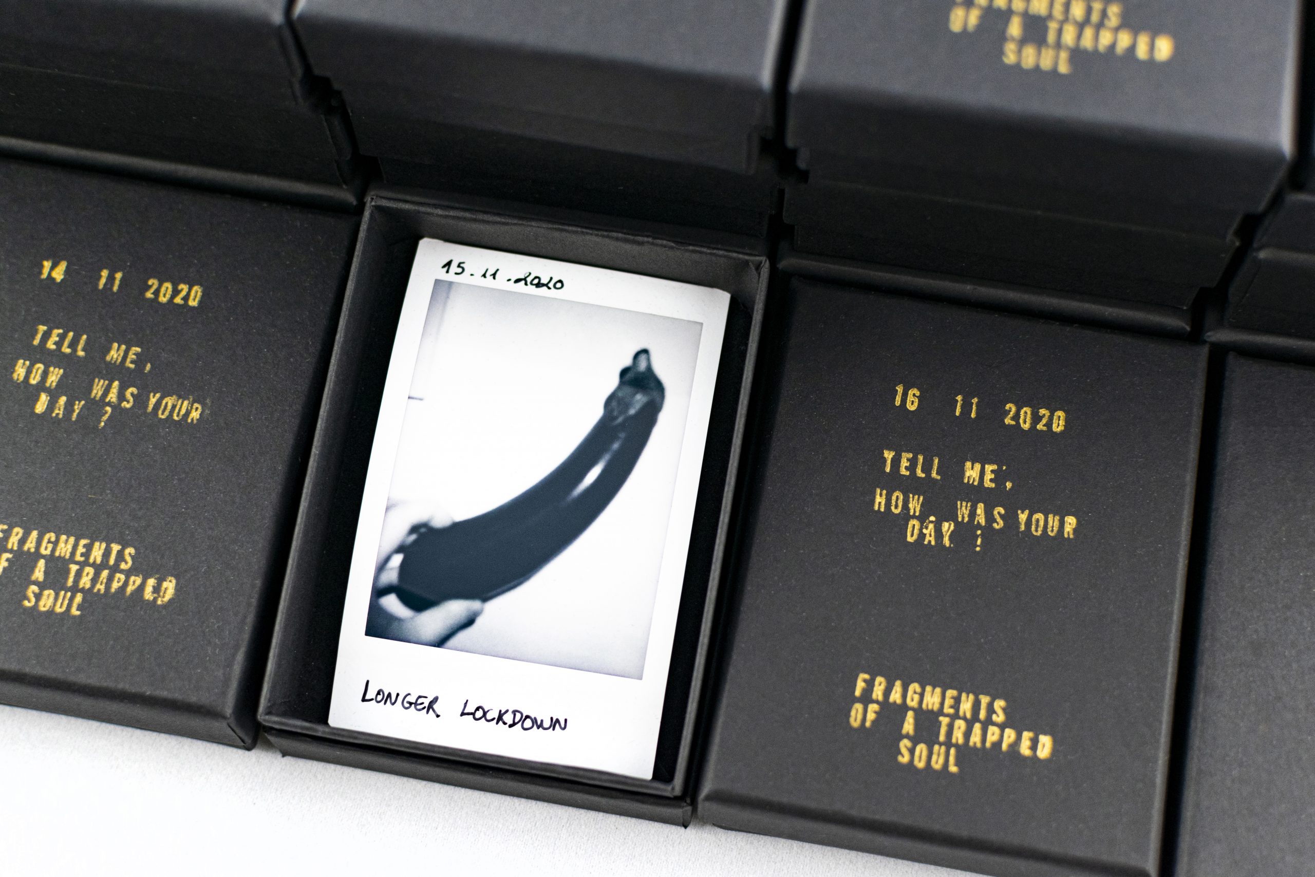 Ana Loureiro profissões